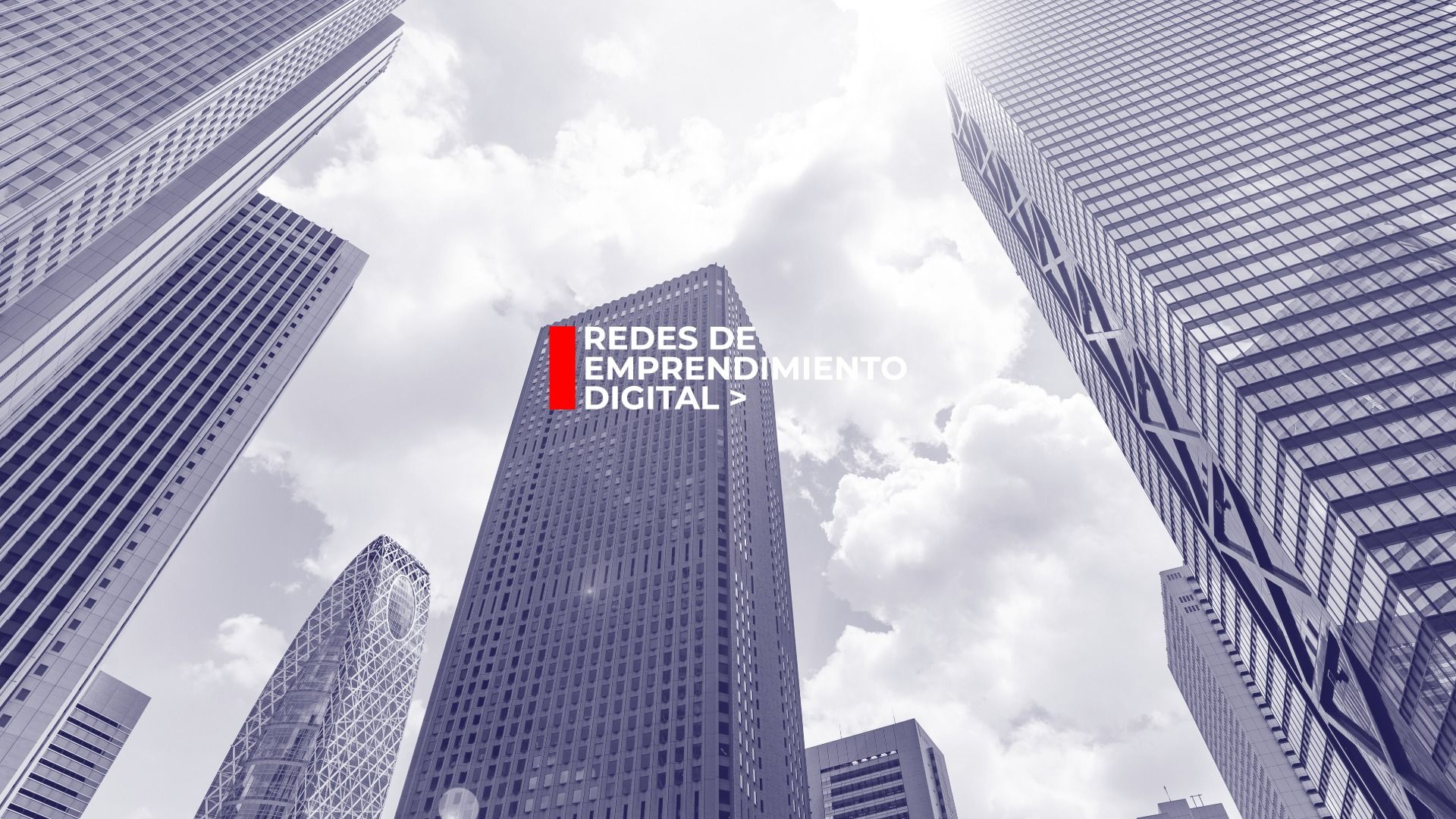 Encuentro con PAE y TEDAE