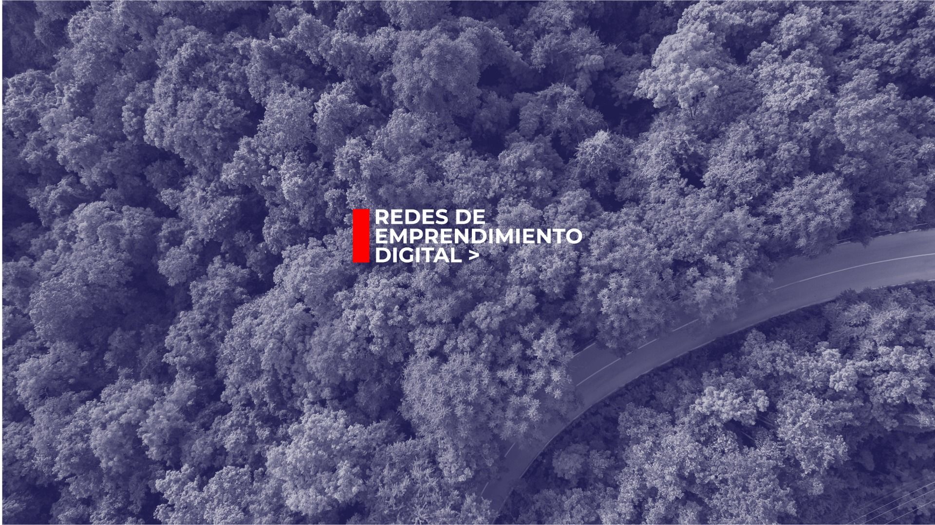 Regulaciones y políticas ambientales