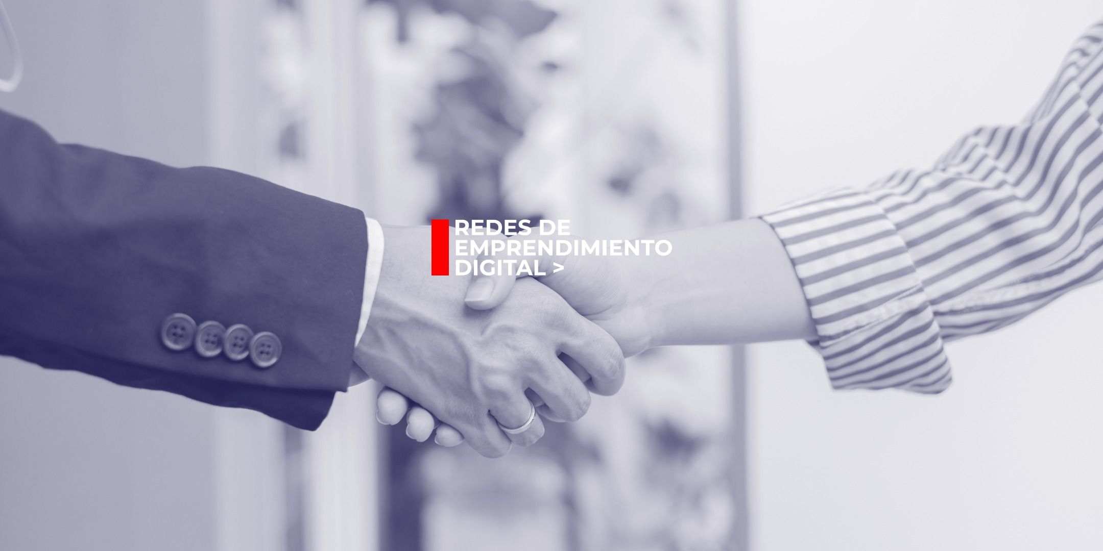 Meetup con inversores #5