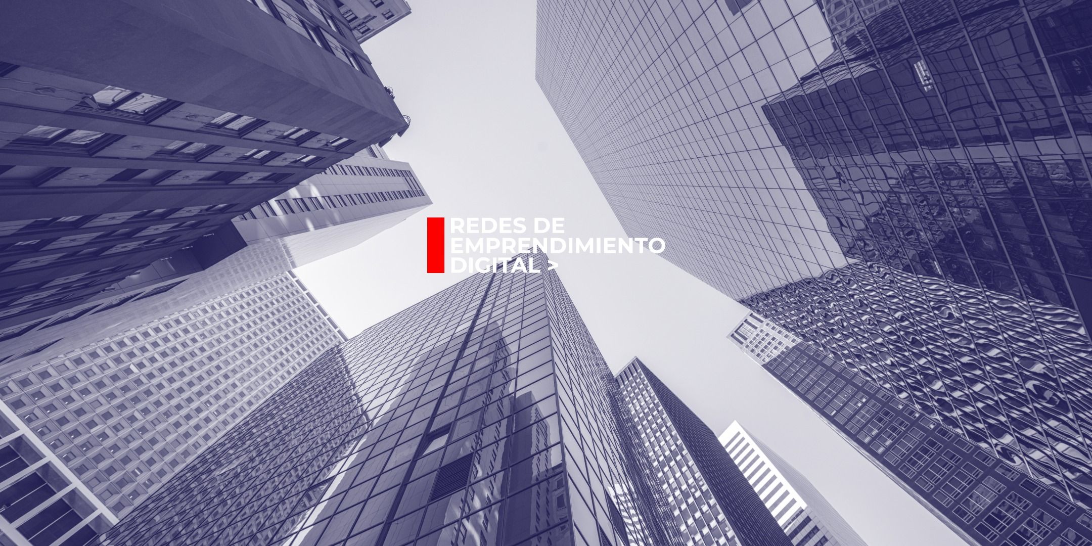 Ser B Corp desde la experiencia real: aprendizajes, errores y aciertos