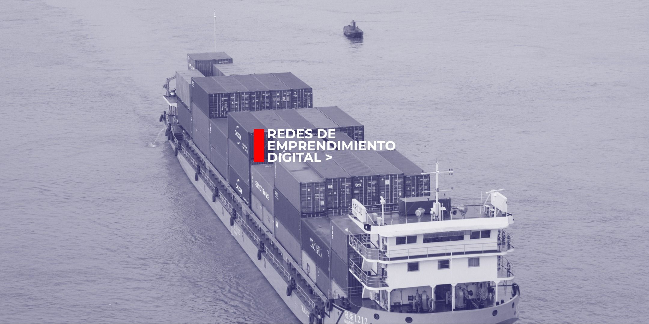 Apertura de mercado asiático. Internacionalización y ventas: 